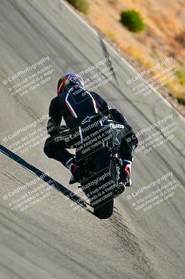 media/Oct-24-2025-2WTD (Fri) [[491f36c2bf]]/C Group/Session 3 (Turn 5)/